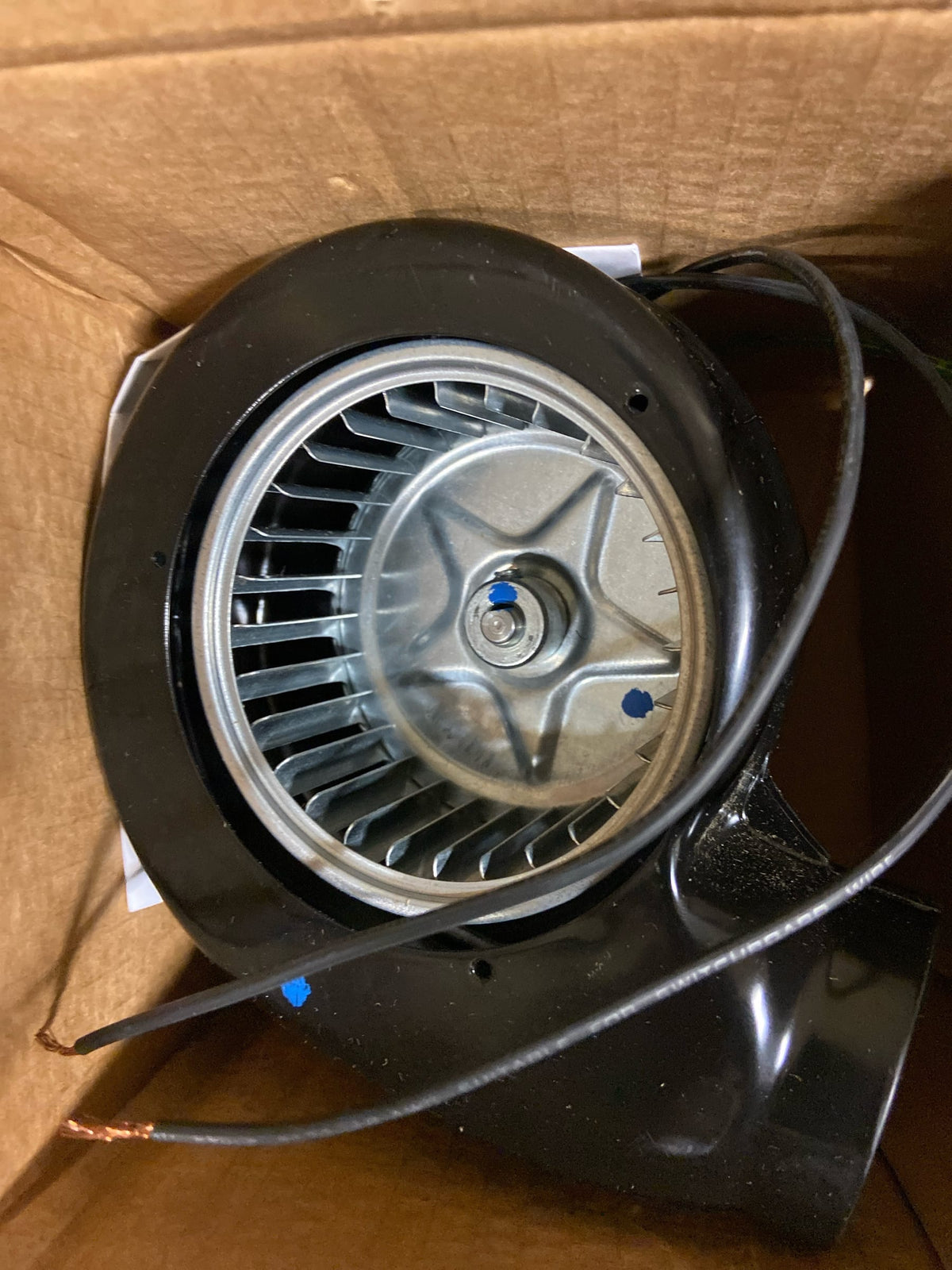 Fasco D013 Centrifugal Blower 3000 RPM 115 Volts