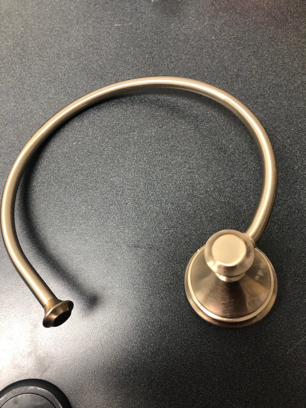 Delta Cassidy Towel Holder