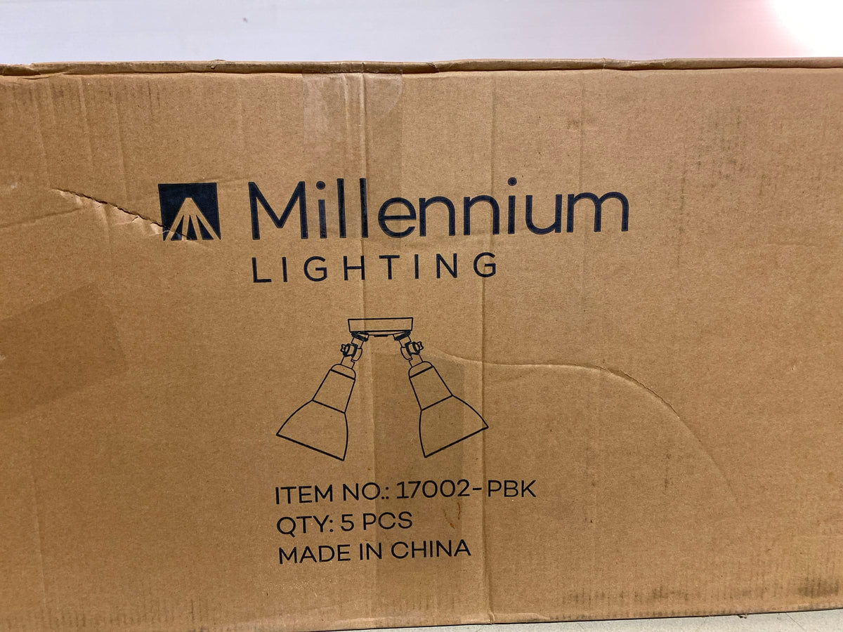 Millennium Lighting 17002-PBK Twin Head 16" Wide Adjustable Flood Light - Powder Coated Black