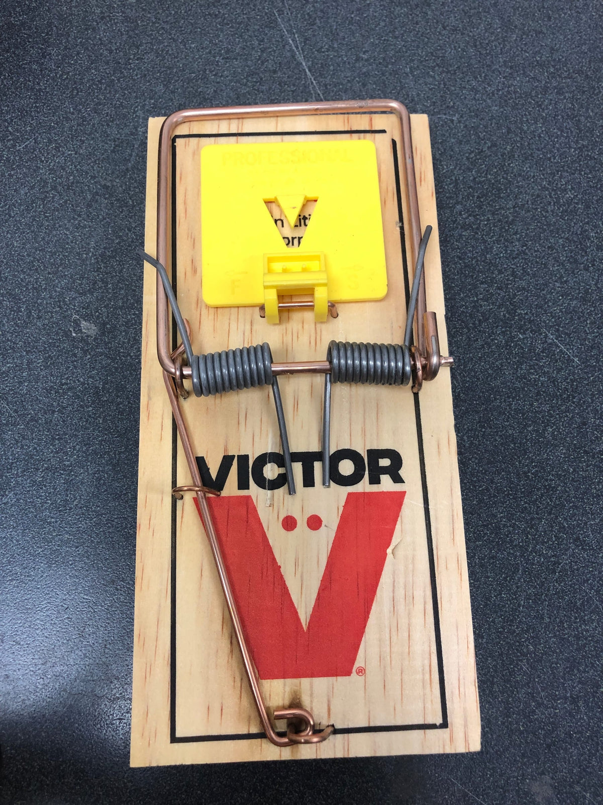 Victor M205-6 Easy Set Plastic Pedal Sustainably Sourced FSC Wood Humane Snap Rat Trap - 6 Wooden Traps