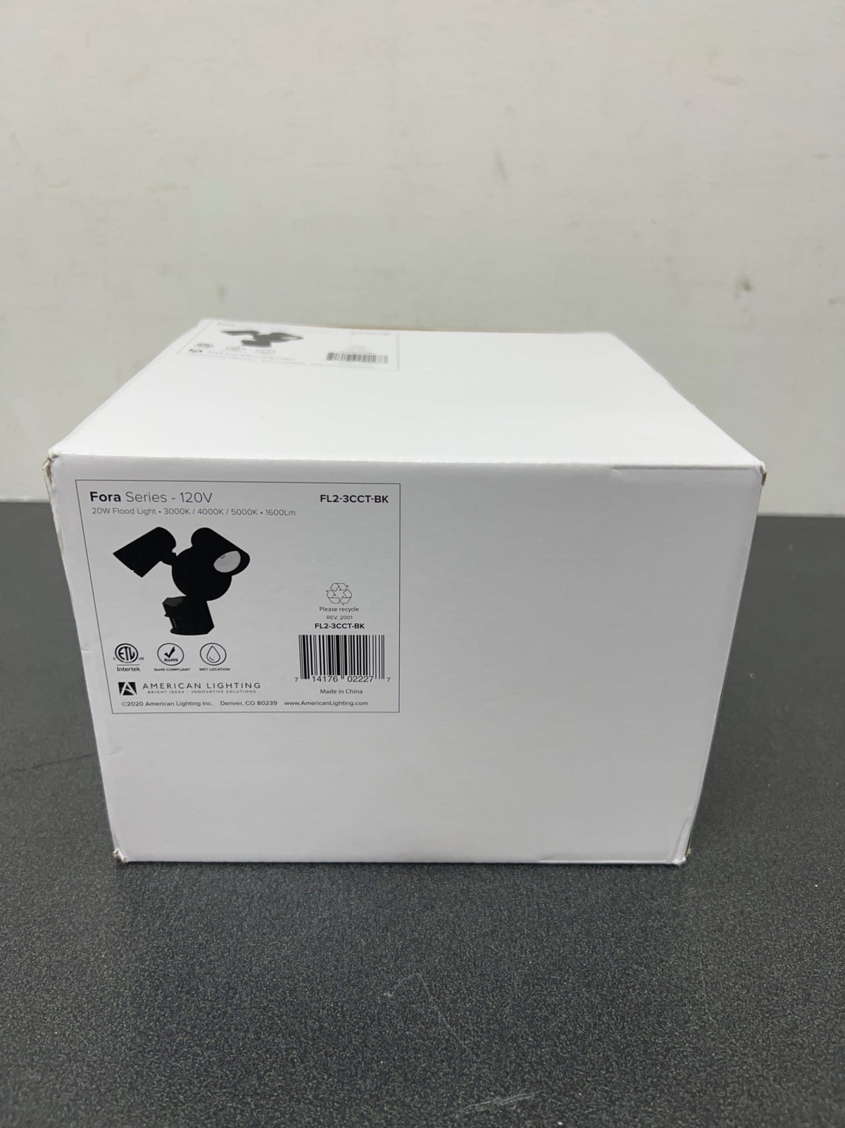 AMERICAN LIGHTING FL2-3CCT-BK Fora Flood Light