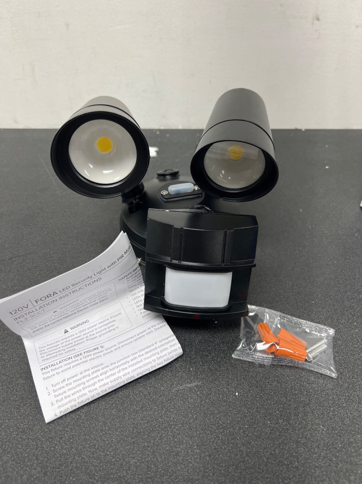 AMERICAN LIGHTING FL2-3CCT-BK Fora Flood Light