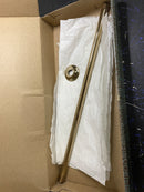 Brizo 83992-24-PG Essential 24" Ceiling Mounted Shower Arm with Round Flange - Polished Gold