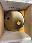Delta RP31556CZ Replacement Overflow Plate with Screws - Champagne Bronze