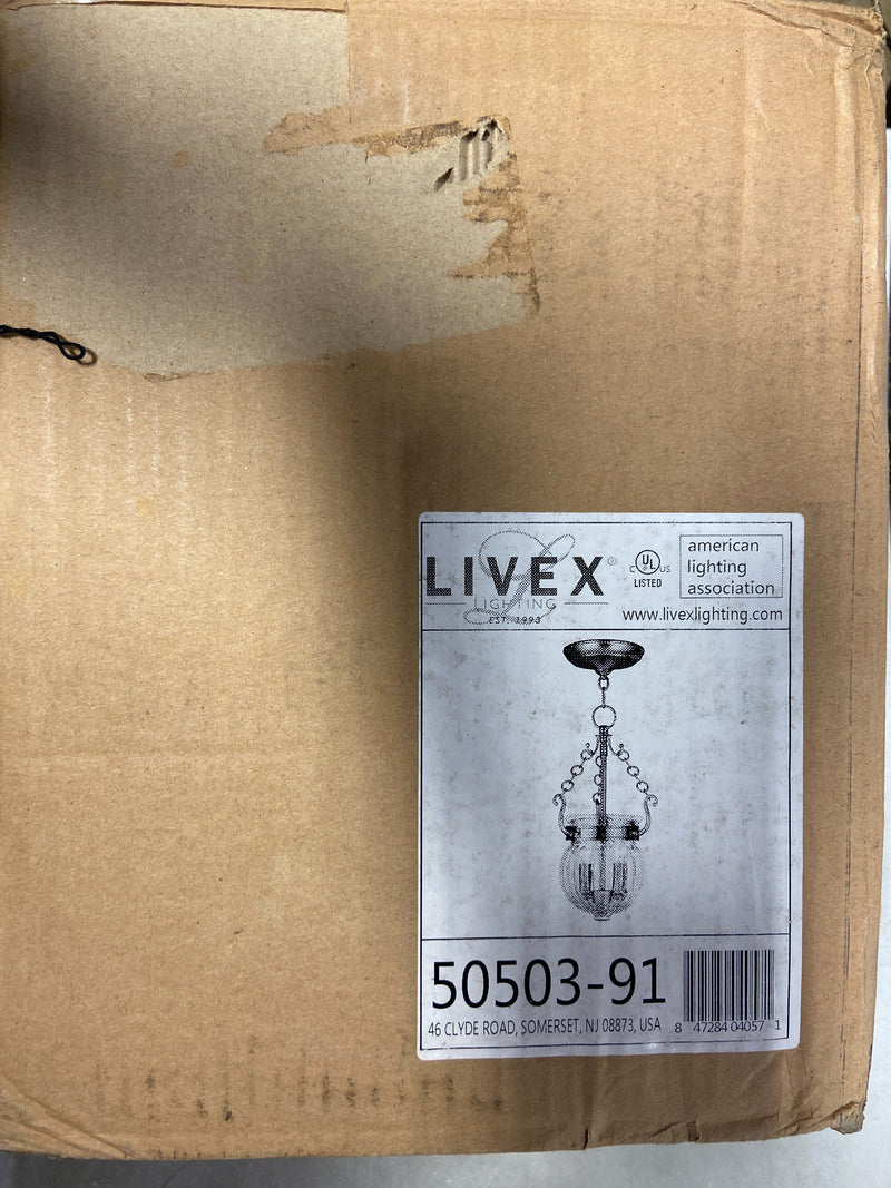 Livex Lighting 50503-91 Everett 2 Light Mini Pendant - Brushed Nickel