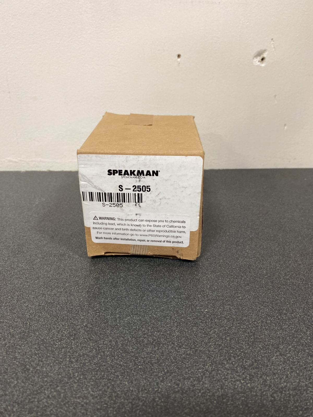 Speakman 3" Brass Shower Arm - Polished Chrome