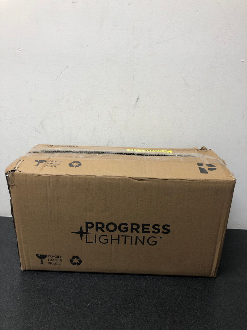 Progress Lighting P300300-031 Clarion 2 Light 20" Wide Bathroom Vanity Light - Matte Black