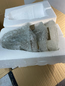 Progress lighting P4391-09 Bedford Collection 5-Light Brushed Nickel Etched Alabaster Glass Traditional Chandelier Light