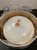 Millennium Lighting 4521-WH Rosata 13" Wide Flush Mount Drum Ceiling Fixture - White