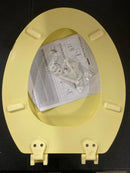 Jones Stephens C014WD50 DELUXE MOLDED WOOD CF CITRON - Citron Yellow