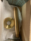 Brizo RP48985GL Essential 6" Ceiling Mounted Shower Arm and Flange - Luxe Gold