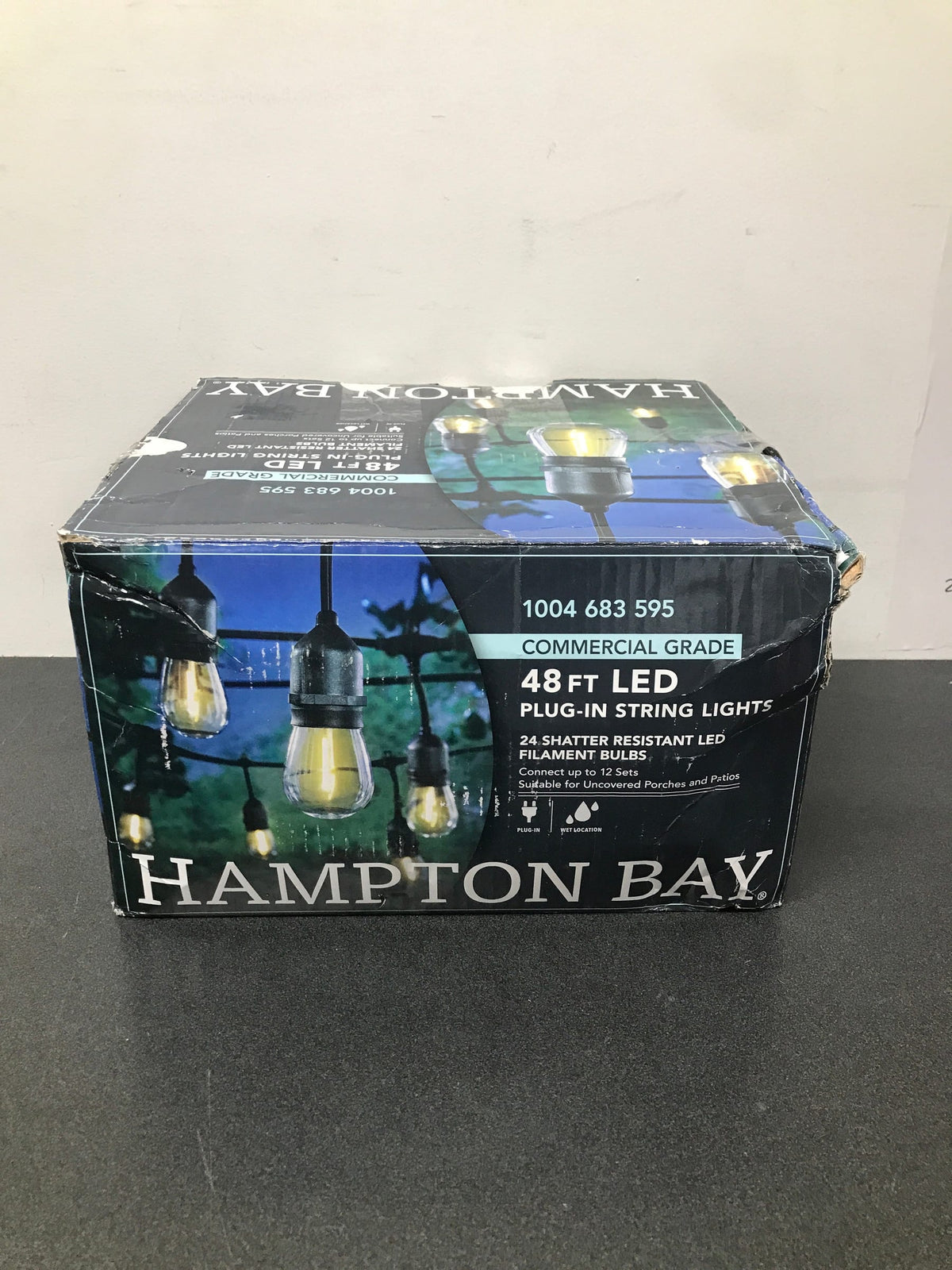 Hampton bay 10328 24-Light 48 ft. Indoor/Outdoor String Light with S14 Single Filament LED Bulbs
