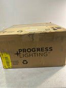 Progress Lighting P3740-81 Med Flush Mount, 2-75-watt, Antique Nickel