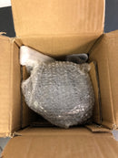 Kichler Eileen Single Light 5" Wide Mini Pendant with Etched Glass Shade