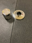 ThermaSol OSS-PN Commercial Steam Head - Polished Nickel