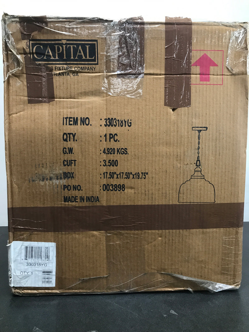 Capital Lighting 330318YG Single Light 14" Wide Pendant with Clear Glass Shade - Grey Wash / Iron Silk