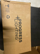 Progress Lighting Inspire Collection 13" Two-Light Semi-Flush