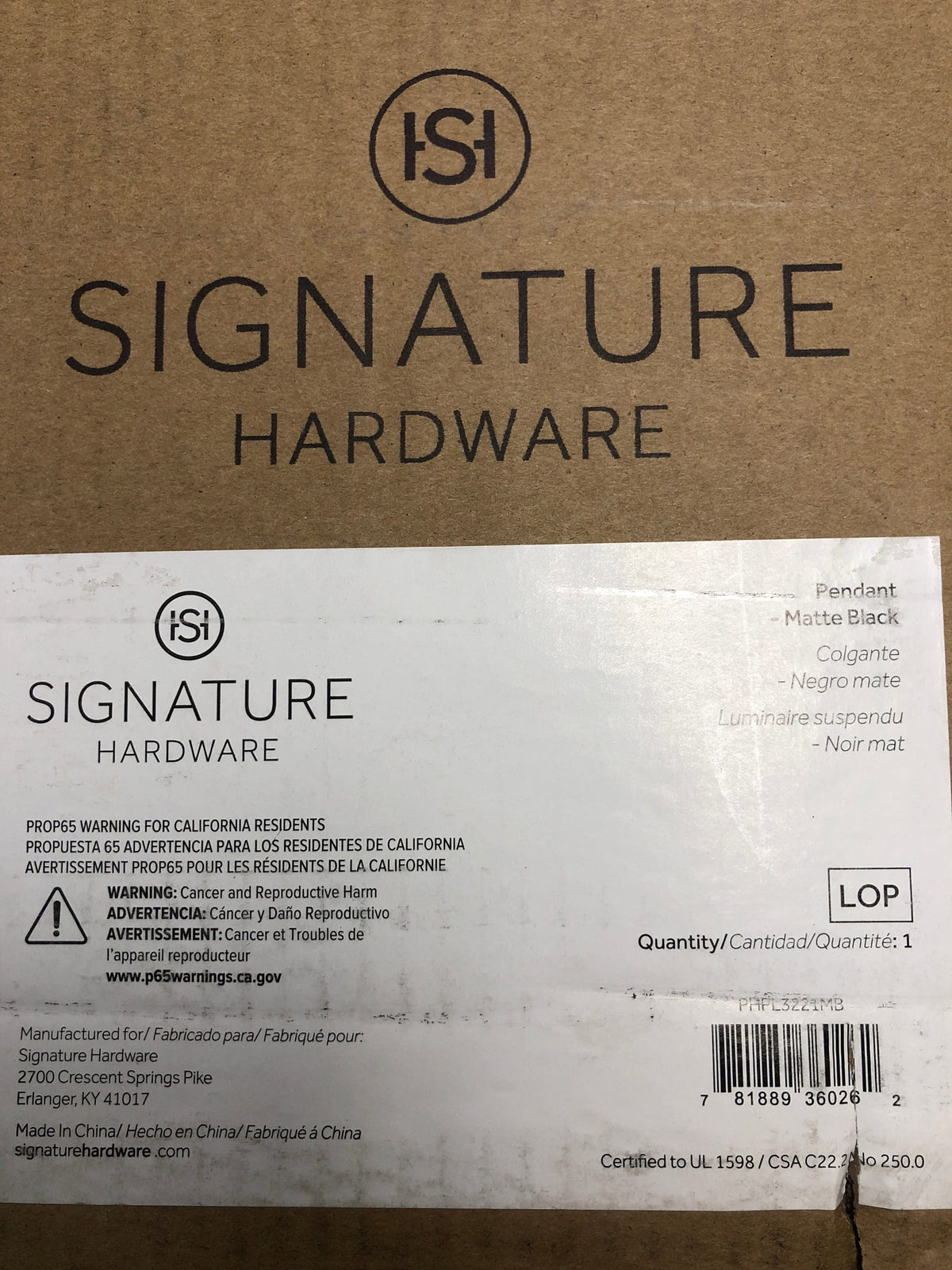 Signature Hardware 453860 Blackthorne 18" Wide Pendant - Matte Black