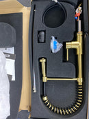 Vigo VG02001MG Edison 1.8 GPM 19" H Single Handle Single Hole Pre-Rinse Pull Down Kitchen Faucet - Matte Gold