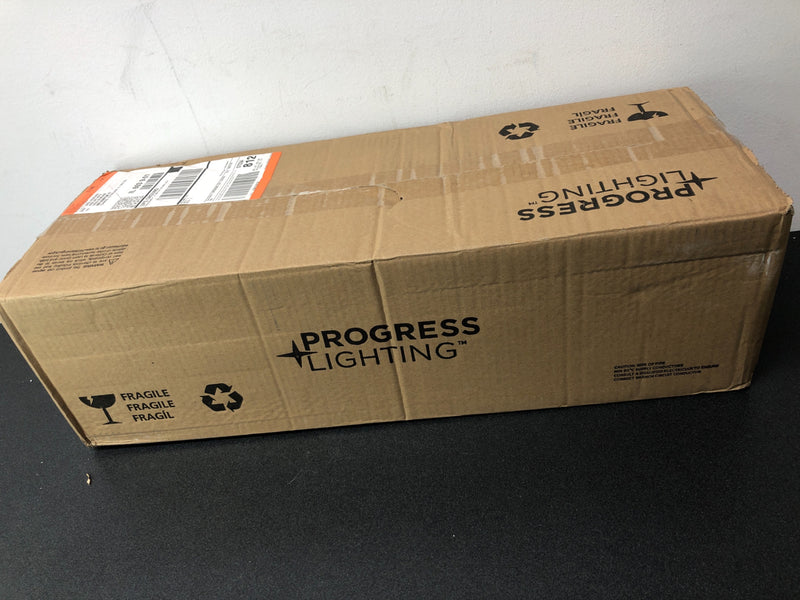 Progress Lighting P2159-09 Replay 3 Light 22" Wide Bathroom Vanity Light with Etched Glass Shades - Brushed Nickel