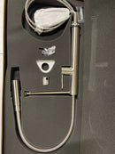 Franke FFPD4350 Pescara Single Handle Pull-Down Kitchen Faucet with Magnetic Sprayer Dock - Stainless Steel