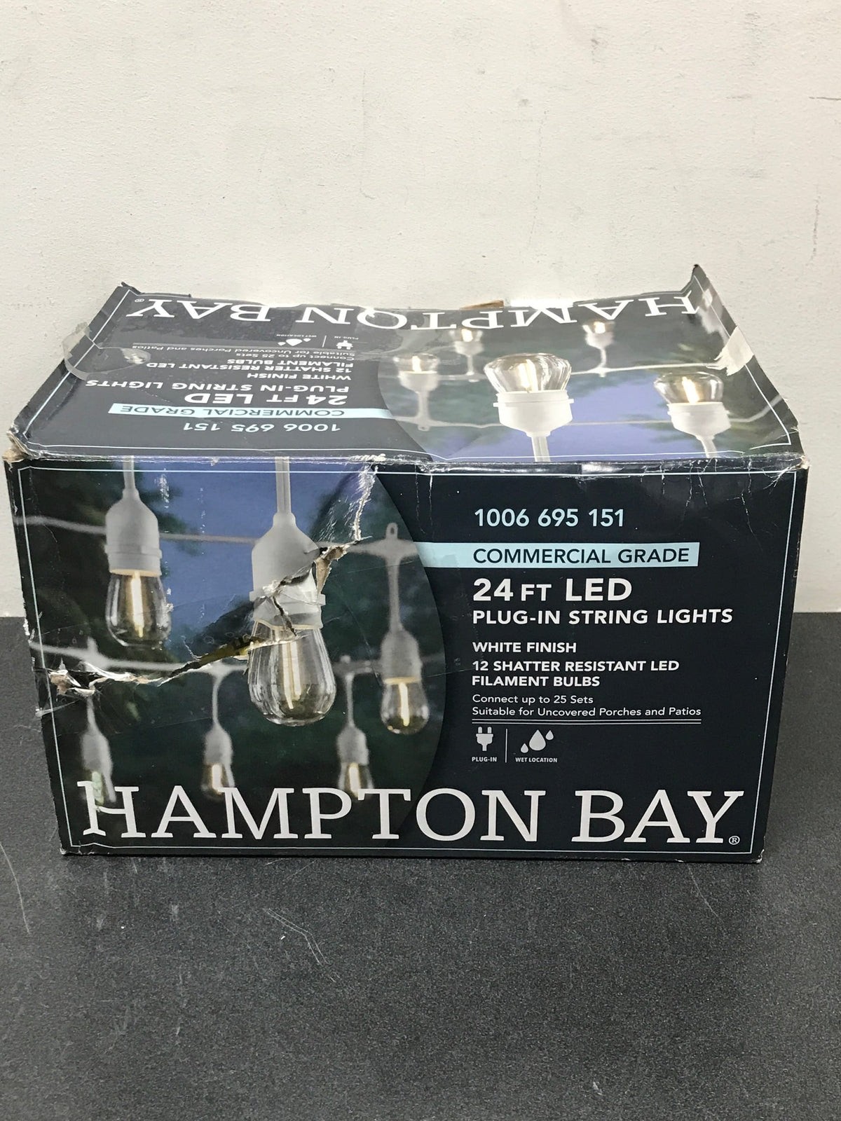Hampton bay 2418J2-1W 12-Light 24 ft. Indoor/Outdoor Plug-In Edison Bulb String Light with S14 Single Filament LED Bulbs in White Cord