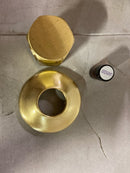 ThermaSol OSS-SB Commercial Steam Head - Satin Brass