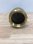 PROFLO PFXBFVK 2" Brass Foot Valve with Stainless Steel Filter - N/A