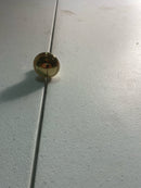 Baldwin 4456003BIN Severin Fayerman 1-1/4 Inch Mushroom Cabinet Knob from the Estate Collection - Polished Brass