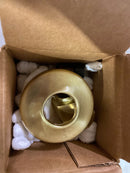 ThermaSol OSS-SB Commercial Steam Head - Satin Brass