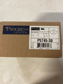 Progress Lighting P5745-30 2 Light Flush Mount Outdoor Ceiling Fixture - 10" Wide - White