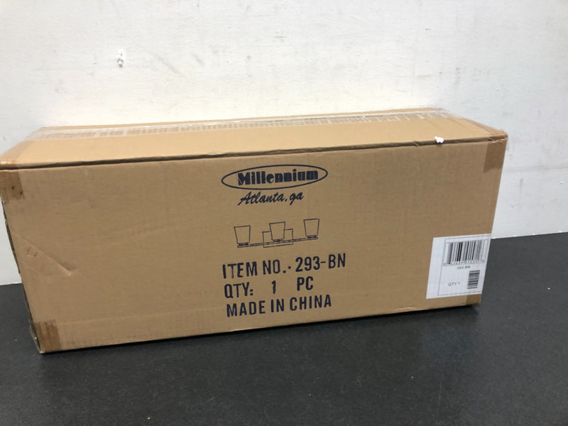 Millennium Lighting 293-BN 3 Light 21" Wide Bathroom Vanity Light - Brushed Nickel
