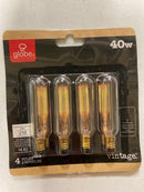 Globe Electric 40-Watt T6 Vintage Edison Incandescent Light Bulb (4-Pack)-80151