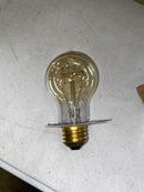 Bulbrite 810004 48' Long 15 Light Incandescent String Lights with A19 Bulbs - Black