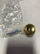 Signature Hardware 441805 Cipullo 1-1/4 Inch Diameter Mushroom Cabinet Knob - Polished Brass