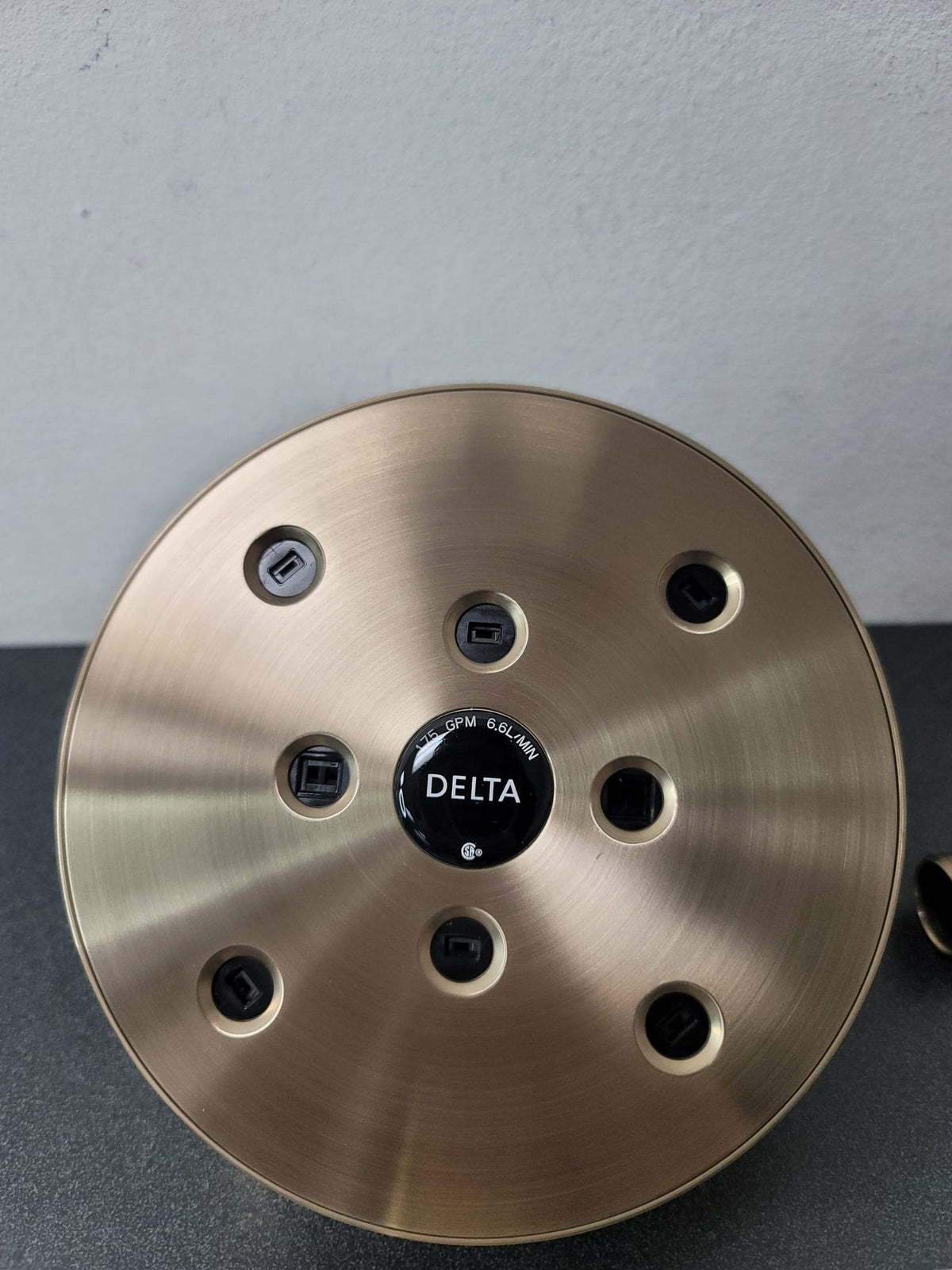 Delta T17259-CZ Trinsic 1-Handle Shower Only Faucet Trim Kit in Champagne Bronze (Valve Not Included)