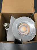 Ecosmart FG-04304 90/120/150-Watt Equivalent PAR38 3-Way Flood Energy Star Dimmable CEC LED Light Bulb 3000K Bright White (2-Pack)