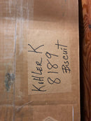 Kohler K-8189-96 Verticyl 17-1/8" Rectangular Vitreous China Undermount Bathroom Sink with Overflow - Biscuit