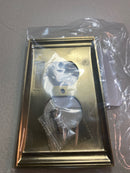 Amerock | Wall Plate | Golden Champagne | Duplex Outlet Cover | Candler | 1 Pack | Electrical Outlet Cover