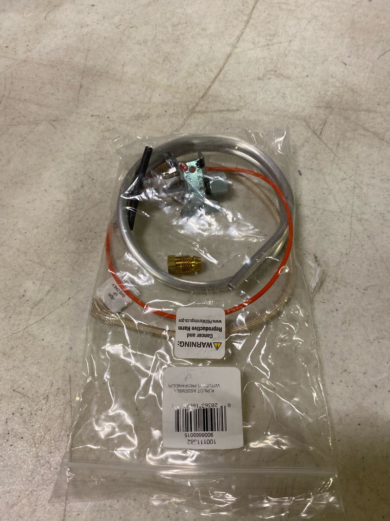 AO Smith 100111382 - K,PILOT ASSEMBLY W/TUBING,PROPANE(LP)