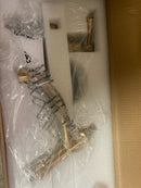 Signature Hardware SHBEFS2000GBG Beasley Floor Mounted Tub Filler with Hand Shower - Less Rough-In Valve - Brushed Gold