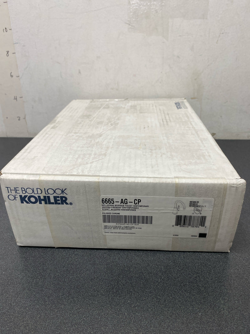 Kohler K-6665-AG-CP Wellspring 1.5 GPM Single Hole Cold Water Dispenser - Polished Chrome