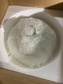 Quoizel QP5360BN Iona 1-Light Brushed Nickel Pendant with Clear Seeded Glass