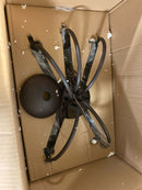 Trans Globe Lighting 9015 ROB Indoor Candle 19" Chandelier, Oil-Rubbed Bronze
