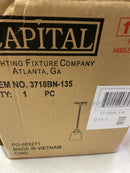 Capital lighting fixture company 3718BN-135 Fallon 100-Watt 1-Light Brushed Nickel Pendant Light with Clear Glass Shade and No Bulbs Included