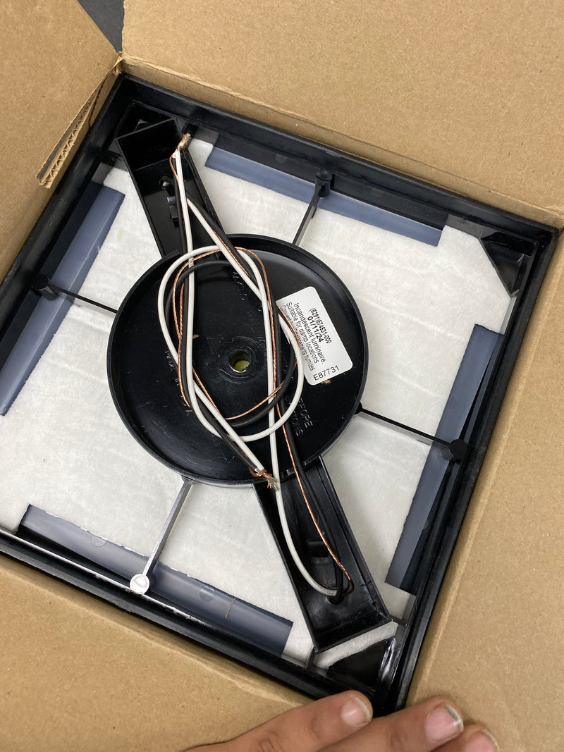 Progress Lighting P5745-31 2 Light Flush Mount Outdoor Ceiling Fixture - 10" Wide - Black
