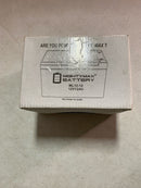 Mighty max battery MAX3571365 12-Volt 12Ah Replacement Battery for APC Back-UPS ES 750 BB BE750BB