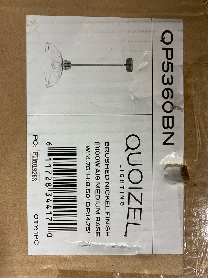Quoizel QP5360BN Iona 1-Light Brushed Nickel Pendant with Clear Seeded Glass