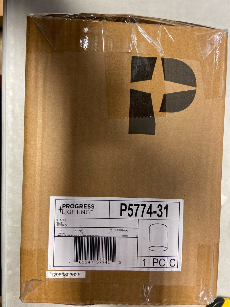 Progress Lighting Cylinder 1 Light Flush Mount Outdoor Ceiling Fixture - 5" Wide