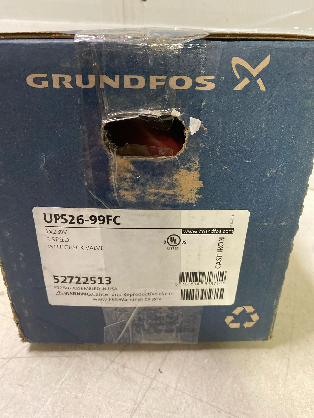 Grundfos G52722513 UPS 2699 FC Canned Rotor Pump with a Max Power Input of 196W and Cast Iron Construction - N/A